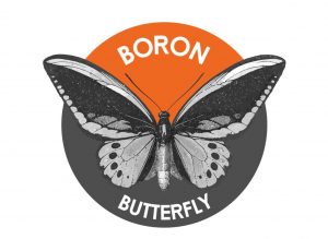 Путь Monero в 2019 году: борьба с ASIC, отстаивание приватности и атака «Большого взрыва»