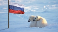 В Госдуму внесен пакет законопроектов о льготах для инвесторов в Арктике