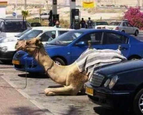 Появятся новые возможности получения заграничными филиалами денег на свои счета